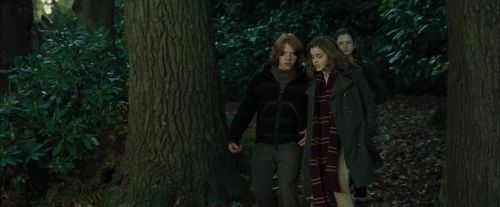 Click to view full size image
==============
CdF-Potterish_2931.jpg CdF-Potterish_2931.jpg