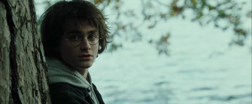 Click to view full size image
==============
CdF-Potterish_2932.jpg CdF-Potterish_2932.jpg