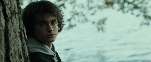 Click to view full size image
==============
CdF-Potterish_2933.jpg CdF-Potterish_2933.jpg