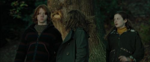 Click to view full size image
==============
CdF-Potterish_2936.jpg CdF-Potterish_2936.jpg