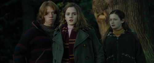 Click to view full size image
==============
CdF-Potterish_2939.jpg CdF-Potterish_2939.jpg