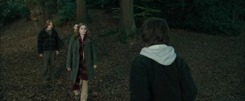CdF-Potterish_2943.jpg