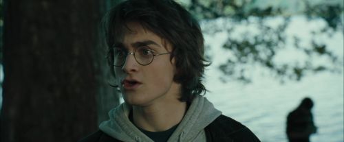 CdF-Potterish_2954.jpg