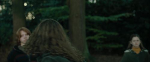 Click to view full size image
==============
CdF-Potterish_2958.jpg CdF-Potterish_2958.jpg