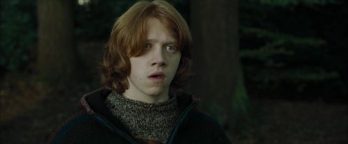 Click to view full size image
==============
CdF-Potterish_2966.jpg CdF-Potterish_2966.jpg