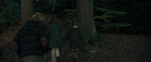 CdF-Potterish_2987.jpg