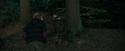 CdF-Potterish_2988.jpg