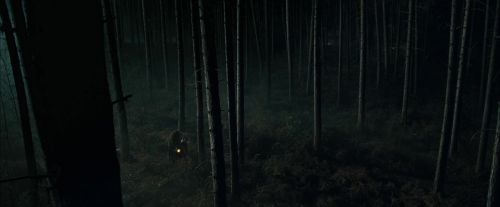 CdF-Potterish_2993.jpg