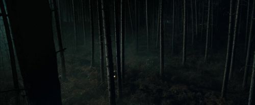 CdF-Potterish_2996.jpg