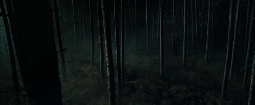 CdF-Potterish_2997.jpg