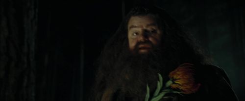 Click to view full size image
==============
CdF-Potterish_2998.jpg CdF-Potterish_2998.jpg
