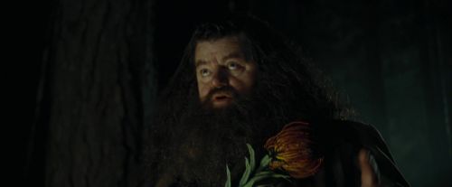 Click to view full size image
==============
CdF-Potterish_2999.jpg CdF-Potterish_2999.jpg