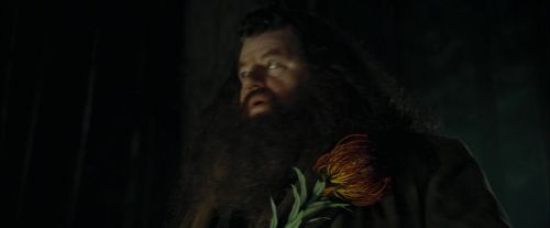 CdF-Potterish_3000.jpg