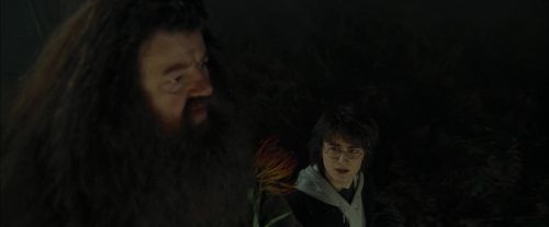 Click to view full size image
==============
CdF-Potterish_3001.jpg CdF-Potterish_3001.jpg