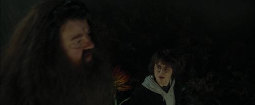 Click to view full size image
==============
CdF-Potterish_3002.jpg CdF-Potterish_3002.jpg