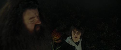 CdF-Potterish_3003.jpg