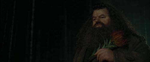 CdF-Potterish_3004.jpg