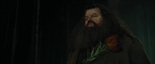 CdF-Potterish_3005.jpg