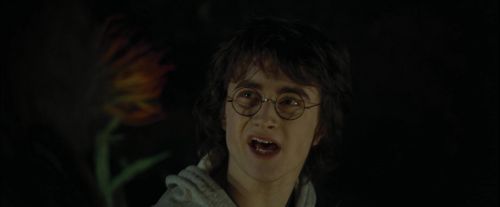 CdF-Potterish_3006.jpg