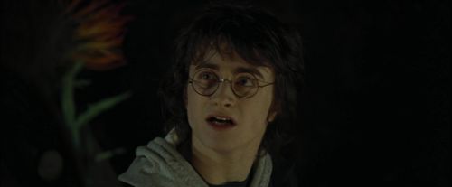 Click to view full size image
==============
CdF-Potterish_3007.jpg CdF-Potterish_3007.jpg