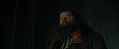CdF-Potterish_3008.jpg