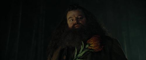 Click to view full size image
==============
CdF-Potterish_3009.jpg CdF-Potterish_3009.jpg