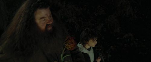 CdF-Potterish_3011.jpg