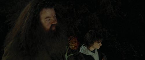 Click to view full size image
==============
CdF-Potterish_3012.jpg CdF-Potterish_3012.jpg