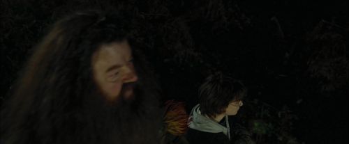 CdF-Potterish_3013.jpg