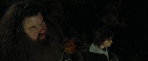 Click to view full size image
==============
CdF-Potterish_3015.jpg CdF-Potterish_3015.jpg