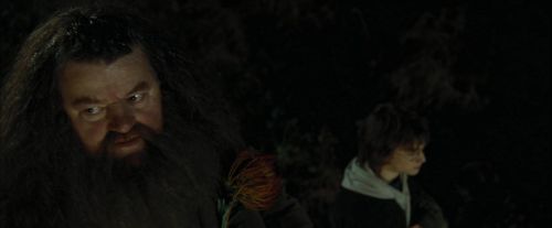 CdF-Potterish_3016.jpg