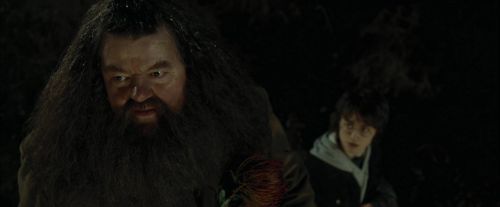 CdF-Potterish_3017.jpg
