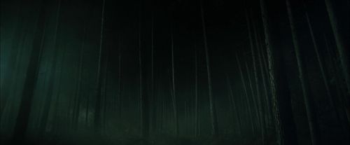 CdF-Potterish_3020.jpg