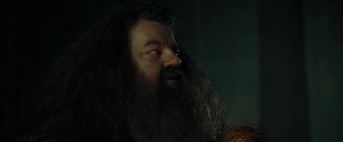 CdF-Potterish_3021.jpg