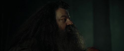 CdF-Potterish_3022.jpg