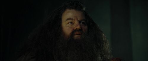CdF-Potterish_3023.jpg