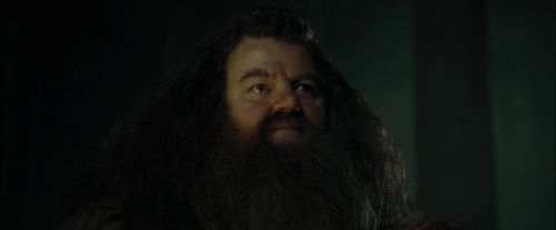 CdF-Potterish_3024.jpg