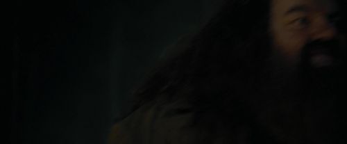 CdF-Potterish_3025.jpg