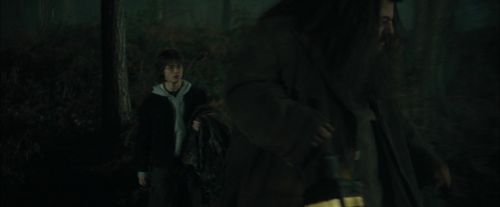 Click to view full size image
==============
CdF-Potterish_3027.jpg CdF-Potterish_3027.jpg