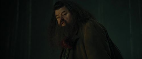 Click to view full size image
==============
CdF-Potterish_3028.jpg CdF-Potterish_3028.jpg