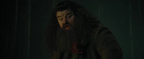 CdF-Potterish_3029.jpg