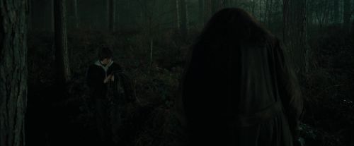 CdF-Potterish_3030.jpg