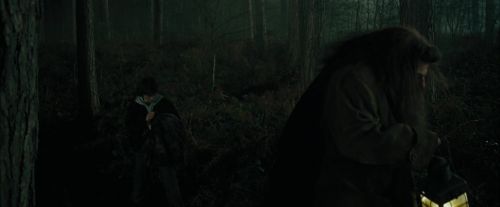 CdF-Potterish_3031.jpg