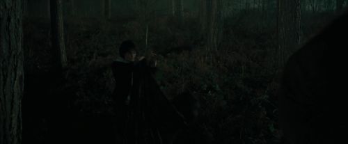 CdF-Potterish_3032.jpg