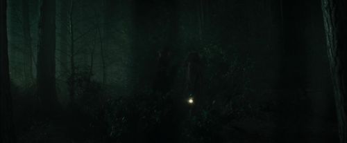 CdF-Potterish_3039.jpg