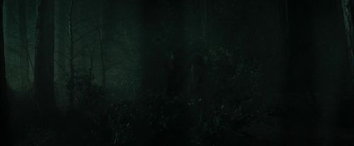 CdF-Potterish_3040.jpg
