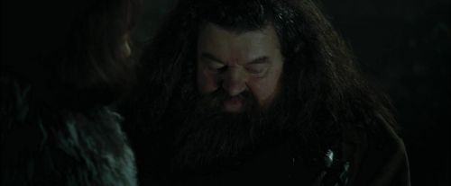 CdF-Potterish_3053.jpg