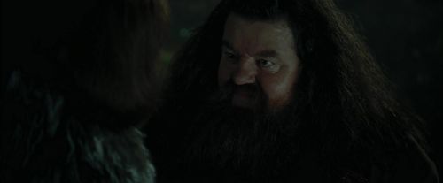 Click to view full size image
==============
CdF-Potterish_3055.jpg CdF-Potterish_3055.jpg