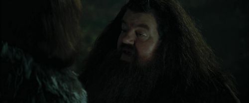 CdF-Potterish_3060.jpg