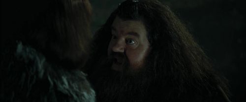 Click to view full size image
==============
CdF-Potterish_3061.jpg CdF-Potterish_3061.jpg